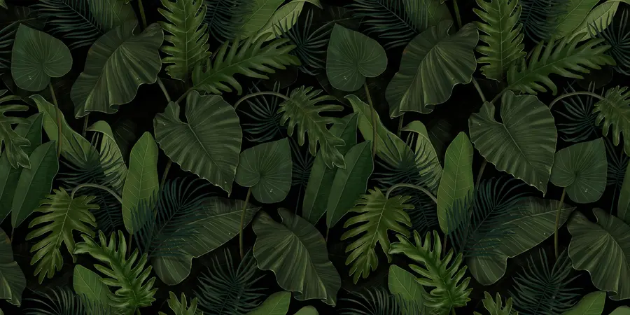 fototapet Model cu palmier tropical verde, taro, frunze de banane u95470