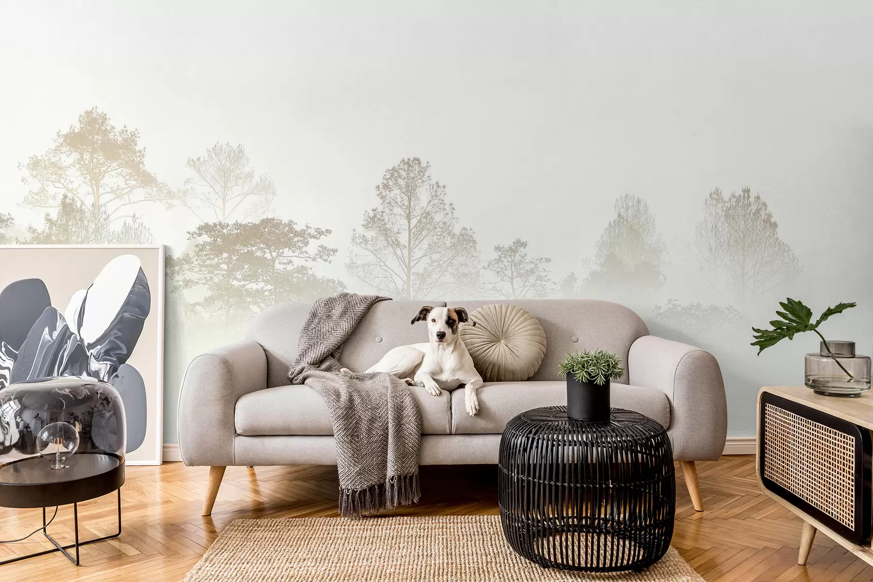 fototapet Silueta unui crâng de copaci în ceața albă de dimineață u97405