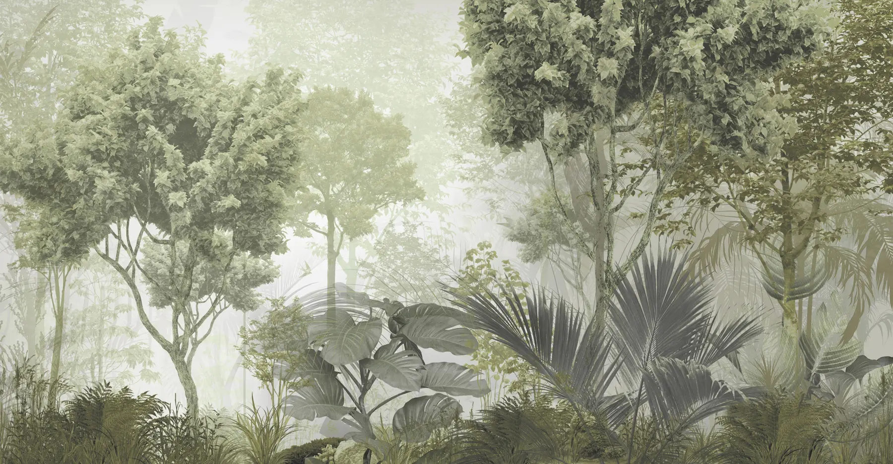 fototapet Dimineața în adâncul pădurii u97409