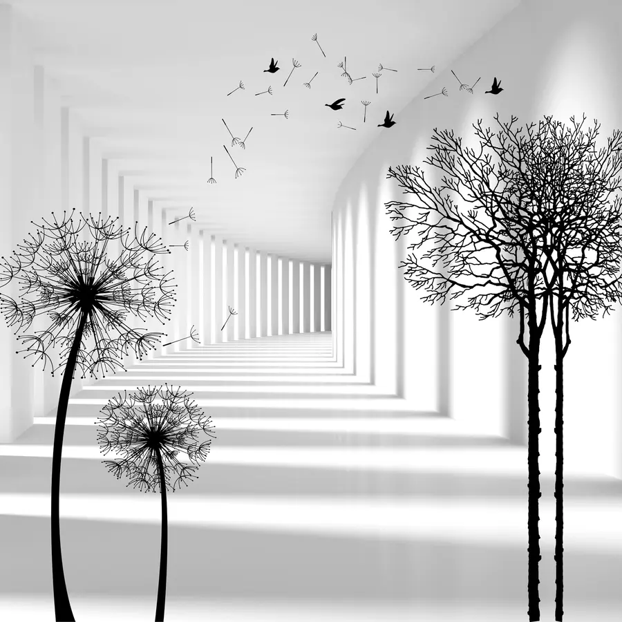 fototapet Adâncime și lumină u37803d1